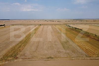 Teren Construcții intravilan de 7500 mp, în Sud