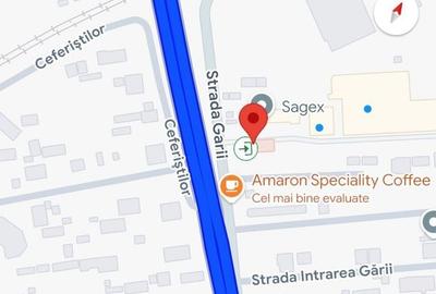 Teren Construcții intravilan de 10000 mp, în Mogoșoaia