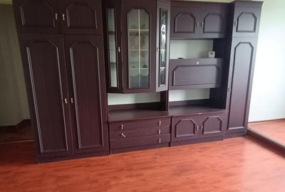 Apartament cu 2 camere semidecomandat în Tătărași