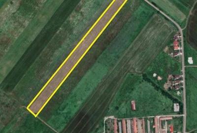 Teren de 28500 mp, în Pișchia - 1