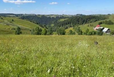 Teren de 17434 mp, în Măguri - 4
