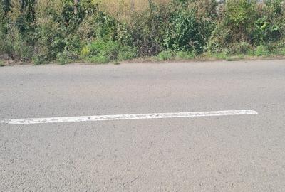 Teren de 3000 mp, în Negostina