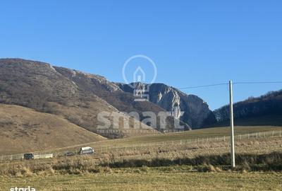 Spațiu comercial, în Petrești - 14