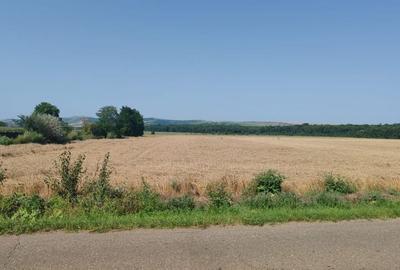 Teren de 10400 mp, în Bălteni