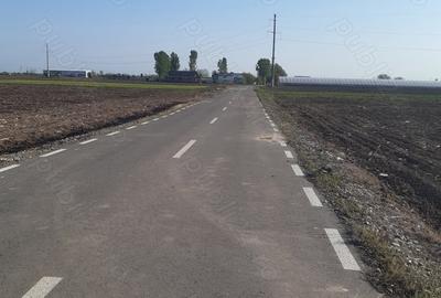 Teren de 4850 mp, în Dobreni - 6