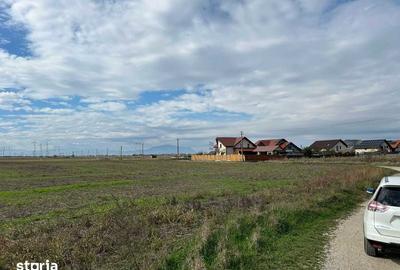 Teren de 5000 mp, în Hărman - 3