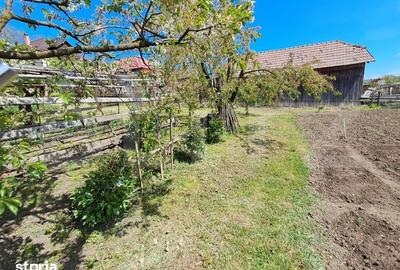Casă cu 3 camere cu Teren 2900 Mp în Sâncraiu de Mureș