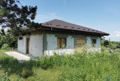 Casă cu 3 camere în Alexandru cel Bun