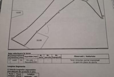 Teren intravilan de 8000 mp, în Pericei - 1