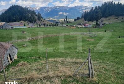 Teren de 16874 mp, în Fundata - 2
