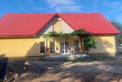 Casă cu 3 camere cu Teren 1000 Mp în Pietriș