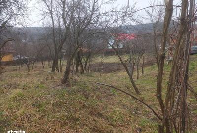 Teren de 1500 mp, în Goranu - 6
