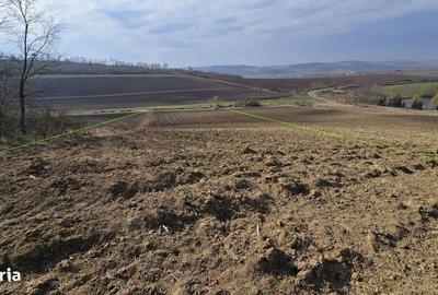 Teren de 7000 mp, în Hoghilag - 5