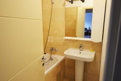 Apartament cu 3 camere semidecomandat, mobilat în Tătărași - 12