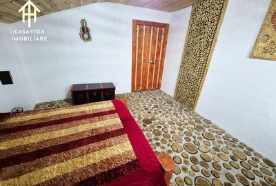 Casă cu Teren 6000 Mp în Sălbăgelu Nou - 7