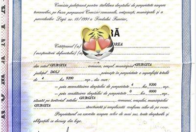 Spațiu comercial, în Filaret - 2