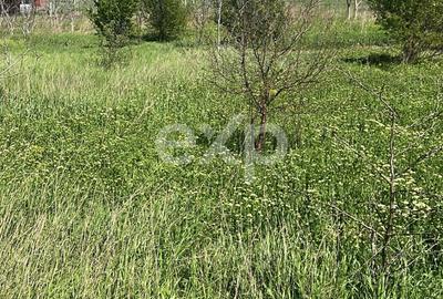 Teren agricol extravilan de 400 mp, în Techirghiol