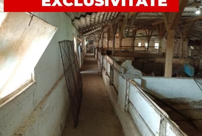 Spațiu industrial, de 317.60000610352 mp, în Nădlac - 2