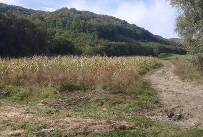 Teren de 5600 mp, în Nord - 6