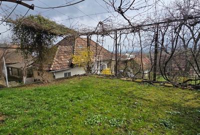 Casă cu 2 camere cu Teren 3080 Mp în Sighișoara