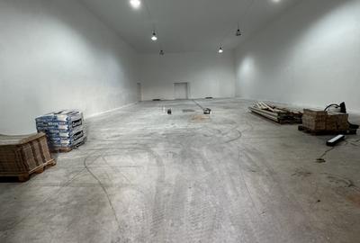 Spațiu comercial, de 420 mp, în Malu Roșu - 5