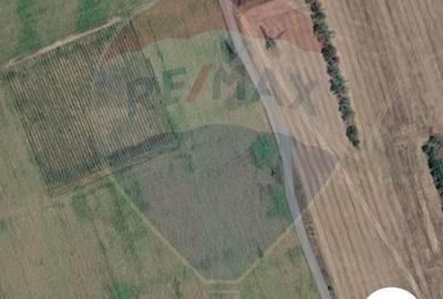 Proprietate specială, de 12,000 mp, în Umbrărești - 8