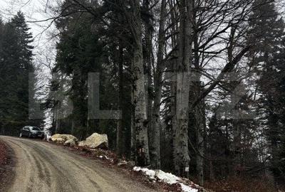 Spațiu comercial, în Sinaia