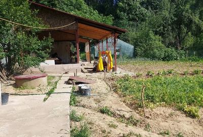 Teren de 1300 mp, în Dobriceni - 3