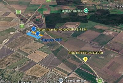 Teren Construcții intravilan de 43000 mp, în Ștefăneștii de Jos - 3