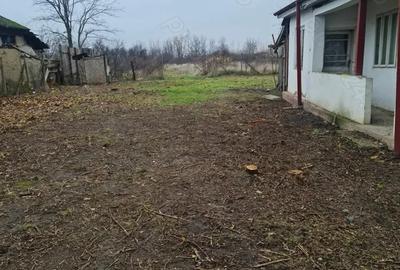 Casă în Garoafa - 4