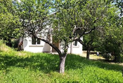 Casă cu Teren 3780 Mp în Hulubești - 12