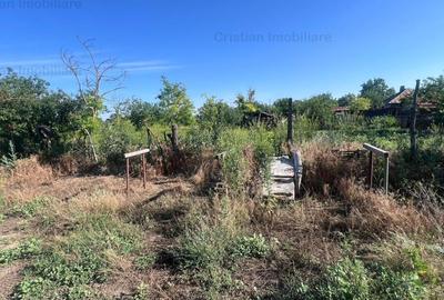 Teren intravilan de 876 mp, în Valea Cânepii - 2