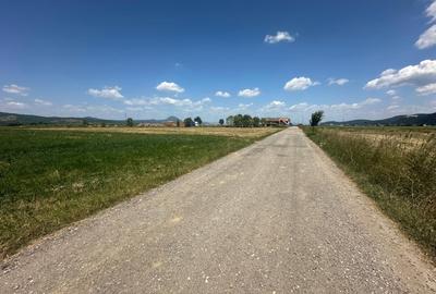 Teren de 5000 mp, în Râșnov Romacril - 7