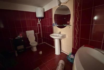 Casă individuală cu 3 camere cu Canalizare în Berveni - 6