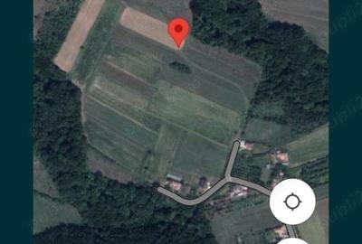Teren de 2500 mp, în Bercioiu - 2