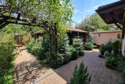 Casă individuală cu 6 camere cu Piscina în Domnești - 5
