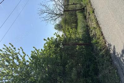 Teren de 1600 mp, în Stupărei - 4