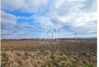 Teren de 6400 mp, în Tolstoi