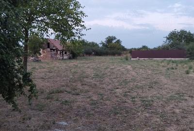 Casă cu Teren 2900 Mp în Izvoru (Gogoșari)