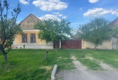 Casă cu 4 camere cu Teren 1536 Mp în Variaș - 1