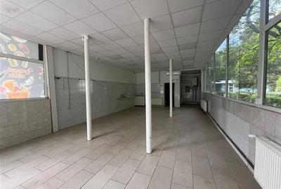 Spațiu comercial, de 120 mp, în Aleea Carpați - 2
