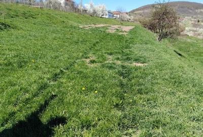 Teren de 3032 mp, în Ciurila