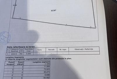 Teren de 17300 mp, în Nucșoara - 6