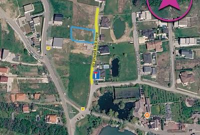 Teren de 750 mp, în Săldăbagiu de Munte - 5