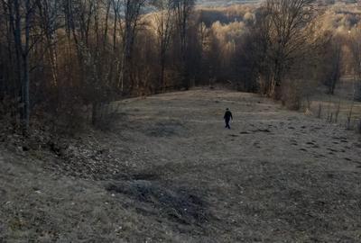 Teren de 5347 mp, în Runcu - 3
