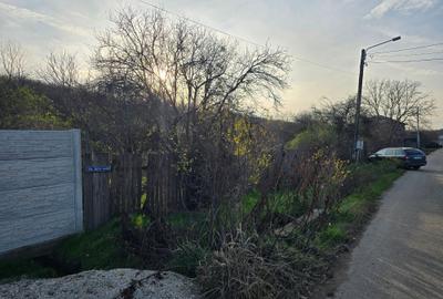 Teren agricol intravilan de 2458 mp, în Bulbucata - 4