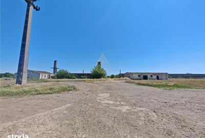 Teren de 58664 mp, în Vadu Pașii - 2