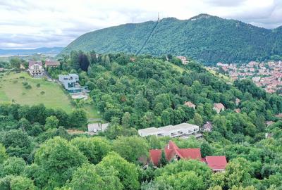 Teren Construcții intravilan de 2700 mp, în Drumul Poienii - 10