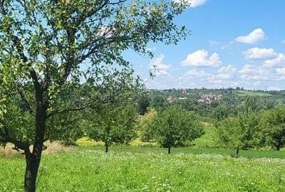 Casă cu 3 camere cu Teren 700 Mp în Groși - 2