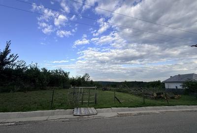 Teren de 3000 mp, în Băbana - 4